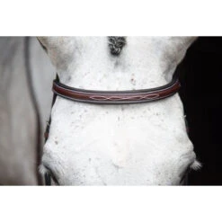 KL Select Italia Middleburg Hunter Bridle -Weatherbeeta Store 111101 03 KL Italia Brown Browband.Front