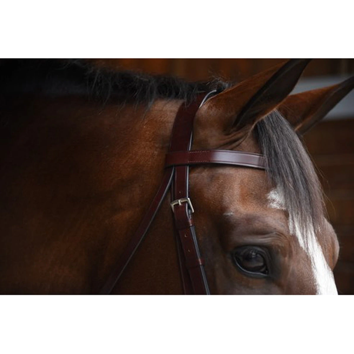 KL Select Italia Foxwell Hunt Bridle 2 KL Select Italia Foxwell Hunt Bridle - Image 2