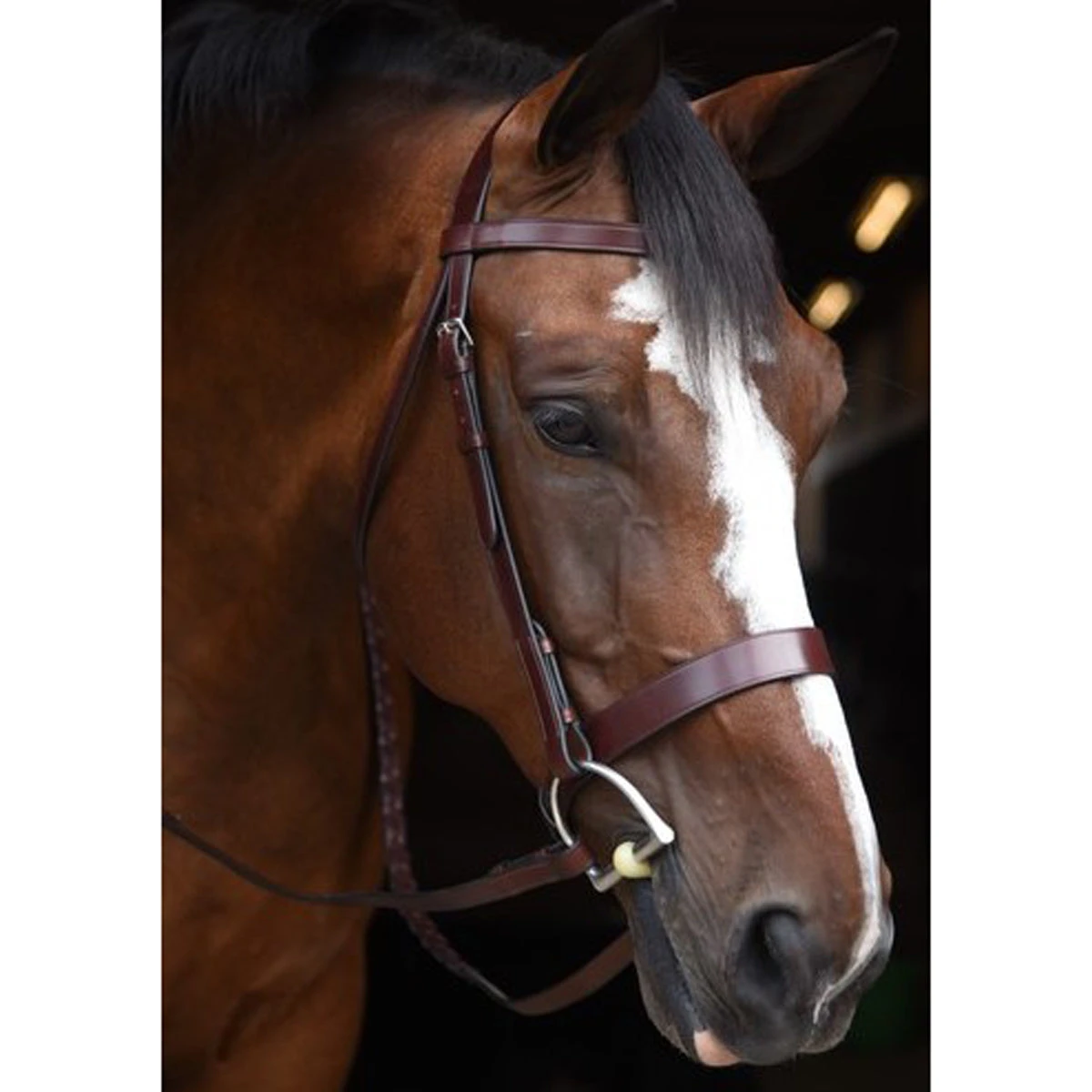KL Select Italia Foxwell Hunt Bridle 1 KL Select Italia Foxwell Hunt Bridle
