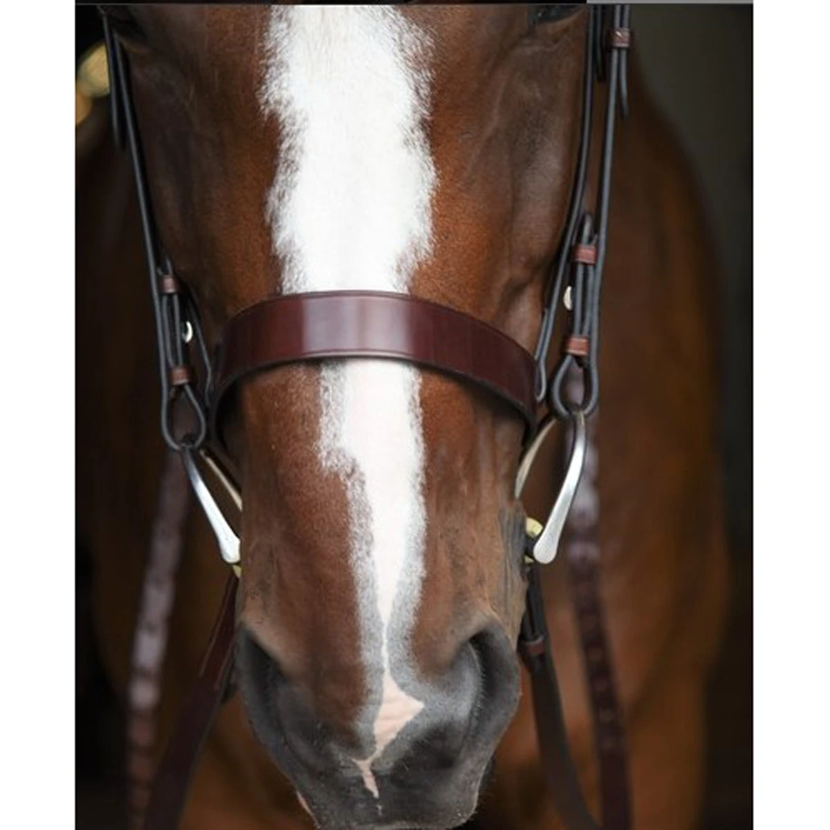 KL Select Italia Foxwell Hunt Bridle 3 KL Select Italia Foxwell Hunt Bridle - Image 3