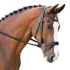 Black Oak Palm Ergonomic Dressage Bridle