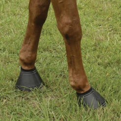 EquiFit Essential Bell Boot -Weatherbeeta Store 11269 EquiFit Essential.Bell .Boot Fleece.Rolled4