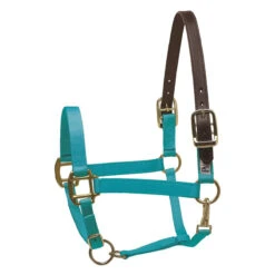 Perri's Economy Safety Halter -Weatherbeeta Store 150PTU Perris Economy.Safety.Halter Turquoise
