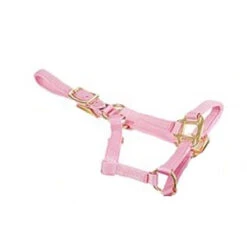 Deluxe Mini Halter 10 Deluxe Mini Halter -Weatherbeeta Store 1823 Jacks Mini.Halter Pink Side
