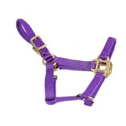 Deluxe Mini Halter 11 Deluxe Mini Halter -Weatherbeeta Store 1823 Jacks Mini.Halter Purple Side