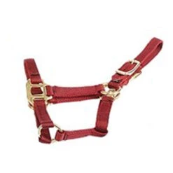 Deluxe Mini Halter 8 Deluxe Mini Halter -Weatherbeeta Store 1823 Jacks Mini.Halter Red Side