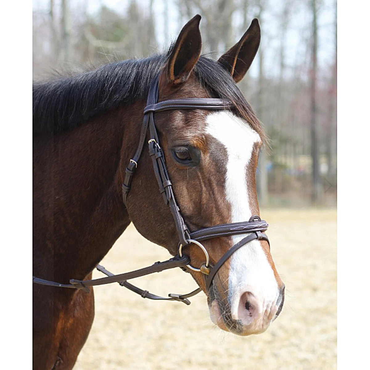 HDR Kushy Bridle With Detachable Flash 2 HDR Kushy Bridle With Detachable Flash - Image 2