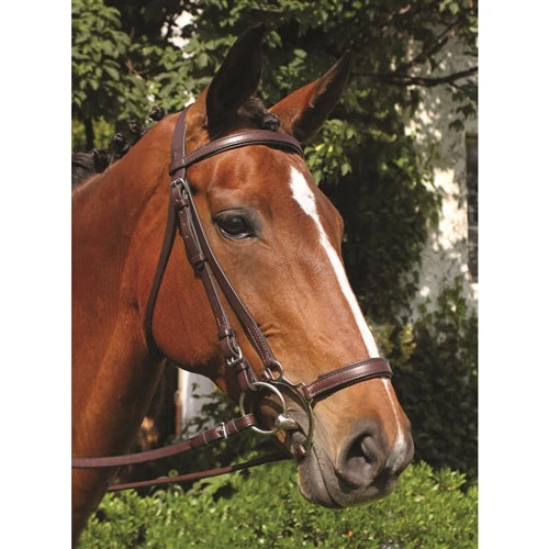 Nunn Finer Original Lever Noseband 1 Nunn Finer Original Lever Noseband