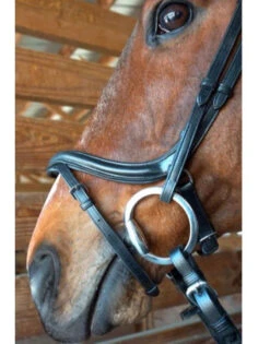 Nunn Finer A Forma Di Shaped Bridle -Weatherbeeta Store 2 30964.1524843942.1280.1280