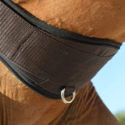 EquiFit Essential Schooling Girth -Weatherbeeta Store 32950 EquiFit Essential.Schooling.Girth SmartFabric4