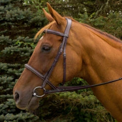 HDR Pro Mono Crown Padded Fancy Bridle -Weatherbeeta Store 5099 JPC HDR.Pro .Mono .Crown .Padded.Fancy .Bridle Havana