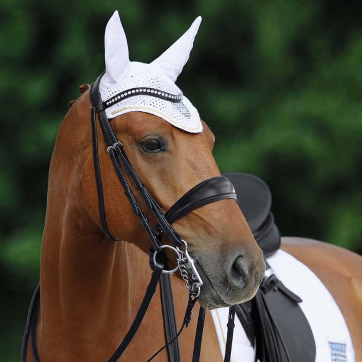 Passier Atlas Double Bridle 2 Passier Atlas Double Bridle - Image 2