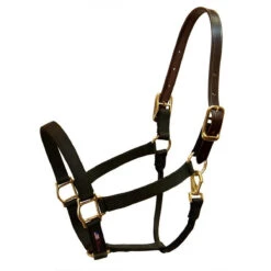Walsh Breakaway 1" Halter With Straight Chin