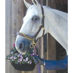 Nunn Finer Leather Shank