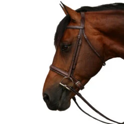 Equiline Scott Stewart Hunter Bridle -Weatherbeeta Store BJ150 EQline Scott.Stewart.Hunter.Bridle Brown Side
