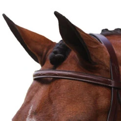 Equiline Scott Stewart Hunter Bridle -Weatherbeeta Store BJ150 EQline Scott.Stewart.Hunter.Bridle Brown Top