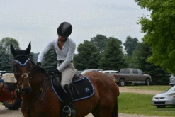 Ogilvy Jump Profile Pad - Custom -Weatherbeeta Store DSC 0833 700466