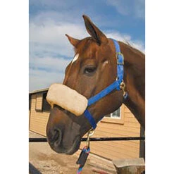 ECP Halter Fleece Noseband Cover -Weatherbeeta Store ECP halter.fleece.noseband.cover HP 5N 07 cream