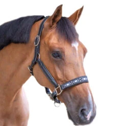 Penelope Pearl Halter -Weatherbeeta Store FrenchEq 510311302 PearlHalterblack1 5bf841fe c892 42b0 aa7f cab390a6d935