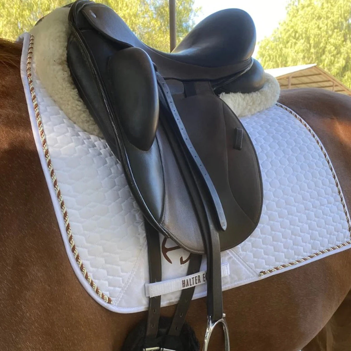 Halter Ego European Cotton Saddle Pad 8 Halter Ego European Cotton Saddle Pad - Image 8