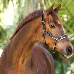 Halter Ego Calisa Black Patent Leather Halter With White Padding