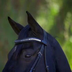 Halter Ego Doc Marten Snaffle Bridle -Weatherbeeta Store Halter.Ego Doc.Marten.Snaffle.Bridle Black 4