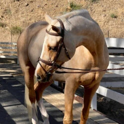 Halter Ego Halifax Hunter Bridle 7 Halter Ego Halifax Hunter Bridle -Weatherbeeta Store Halter.Ego Halifax.Hunter.Bridle 2