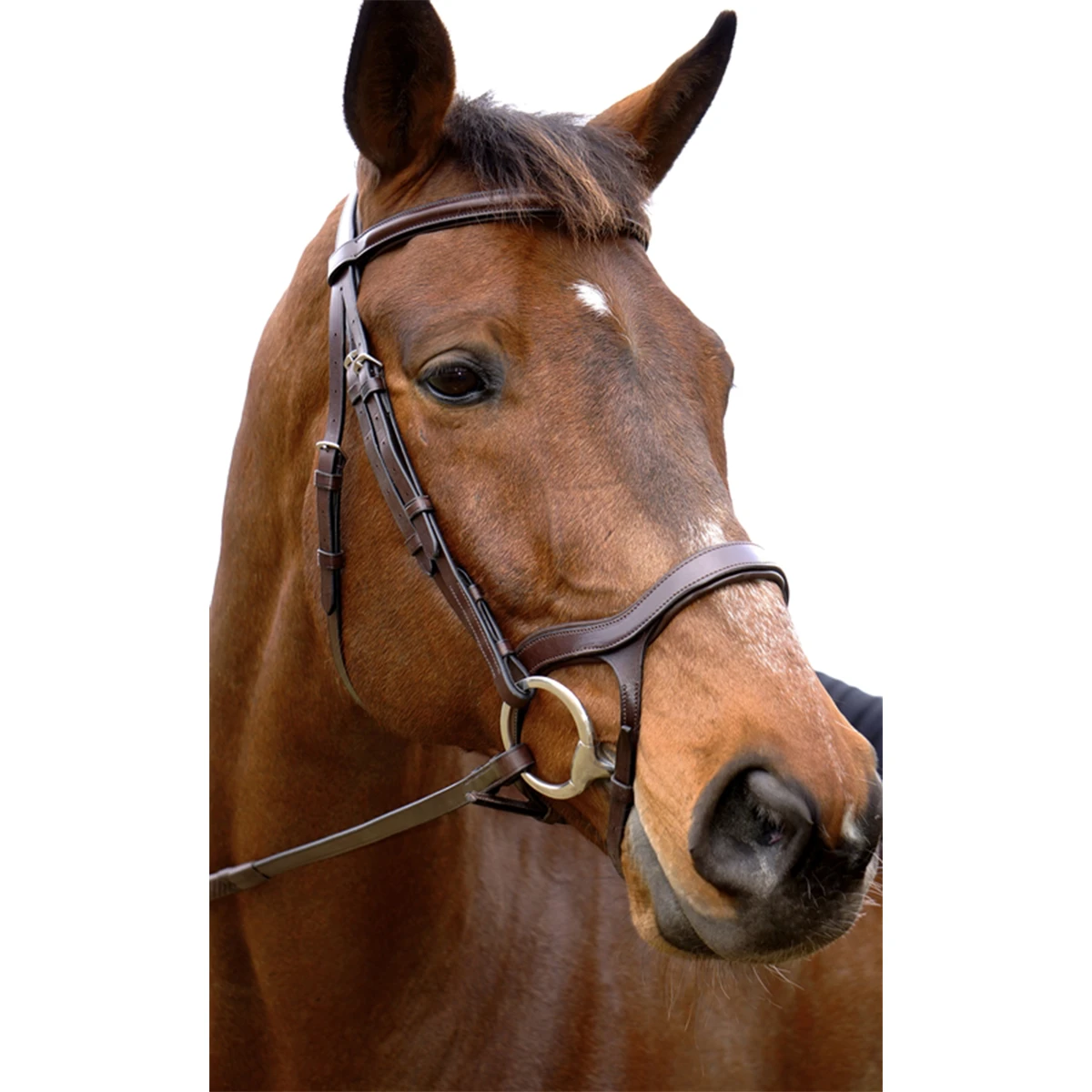 Nunn Finer Innovativo Shaped Bridle 1 Nunn Finer Innovativo Shaped Bridle