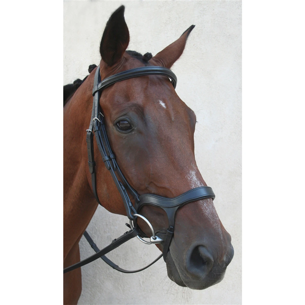 Nunn Finer Innovativo Shaped Bridle 2 Nunn Finer Innovativo Shaped Bridle - Image 2