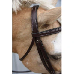 Red Barn By KL Select Icon Hunter Bridle -Weatherbeeta Store KL.Select Icon.Bridle Detail