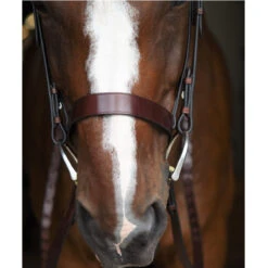 Black Oak By KL Select Foxtrot Hunt Bridle -Weatherbeeta Store KL 1118 FoxtrotHunter2