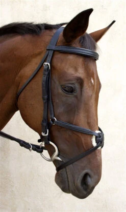 Nunn Finer Fair Hill Figure 8 Bridle -Weatherbeeta Store NF8EB 6T