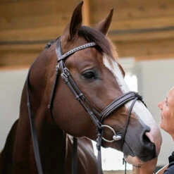 Penelope Daily Bridle 7 Penelope Daily Bridle -Weatherbeeta Store Pen Daily 1