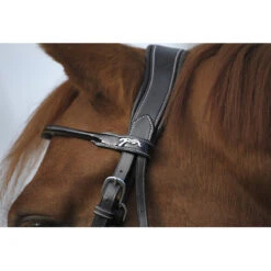 Penelope Point Sellier Bridle -Weatherbeeta Store Pen Sellier 2