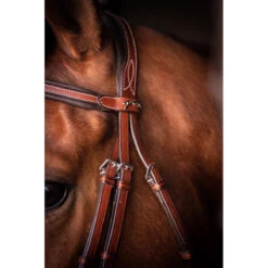 Penelope US Bridle -Weatherbeeta Store Pen US 3