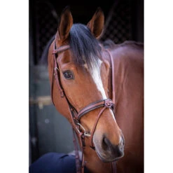 Penelope US Bridle -Weatherbeeta Store Pen US 5