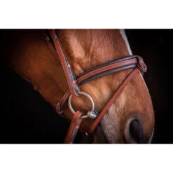 Penelope US Bridle -Weatherbeeta Store Pen Us 2