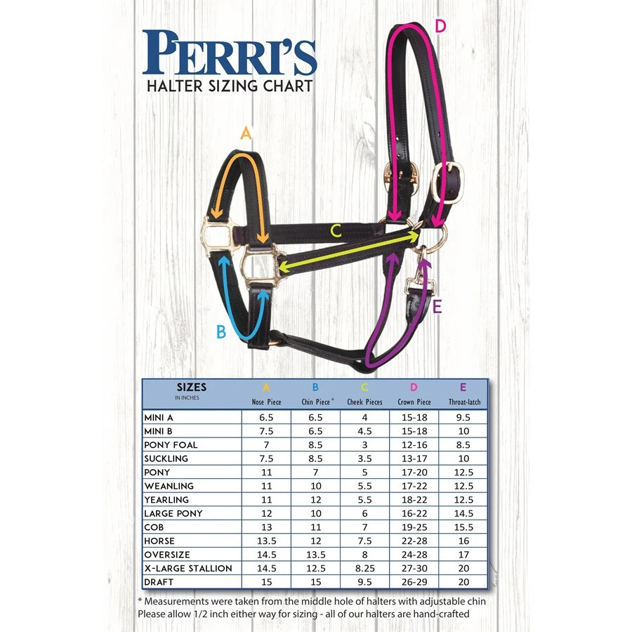 Perri's Double Crown Foal Halter 2 Perri's Double Crown Foal Halter - Image 2