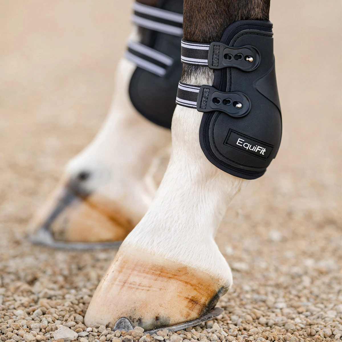 Equifit Prolete Hind Boot With Elastic Straps 1 Equifit Prolete Hind Boot With Elastic Straps