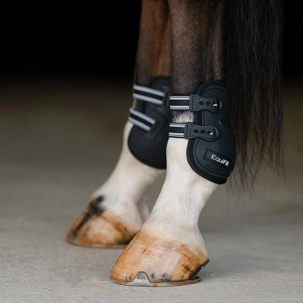 Equifit Prolete Hind Boot With Elastic Straps 2 Equifit Prolete Hind Boot With Elastic Straps - Image 2