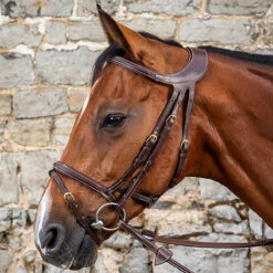 Dyon Difference Flash Bridle - D Collection