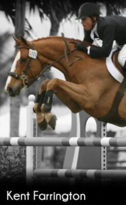 ThinLine Open Front Tendon Schooling Horse Boot -Weatherbeeta Store TL 4015 W SchoolingBoot Front blk 5