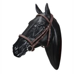 Wintec English Bridle -Weatherbeeta Store WABRIDCBRN