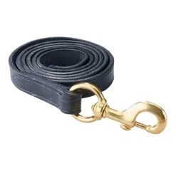 Perri's Leather Lead With Snap