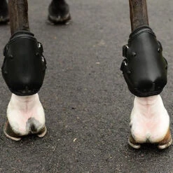 EquiFit AmpTeq Hind Boot 20 EquiFit AmpTeq Hind Boot -Weatherbeeta Store black trim4 01302.1590074384.1280.1280