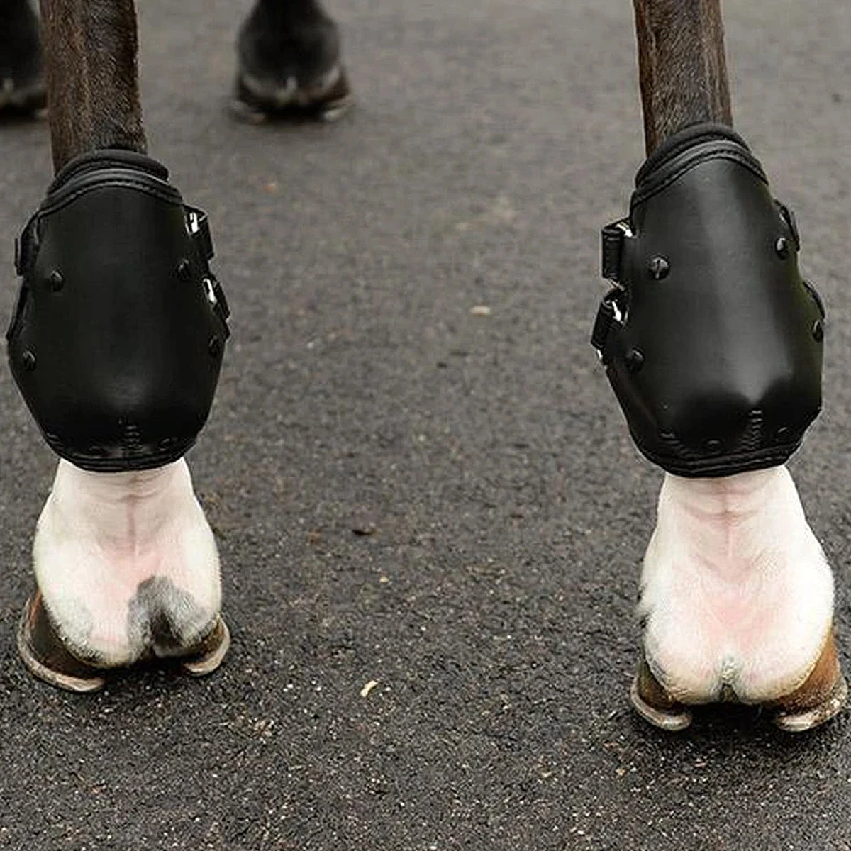 EquiFit AmpTeq Hind Boot 10 EquiFit AmpTeq Hind Boot - Image 10