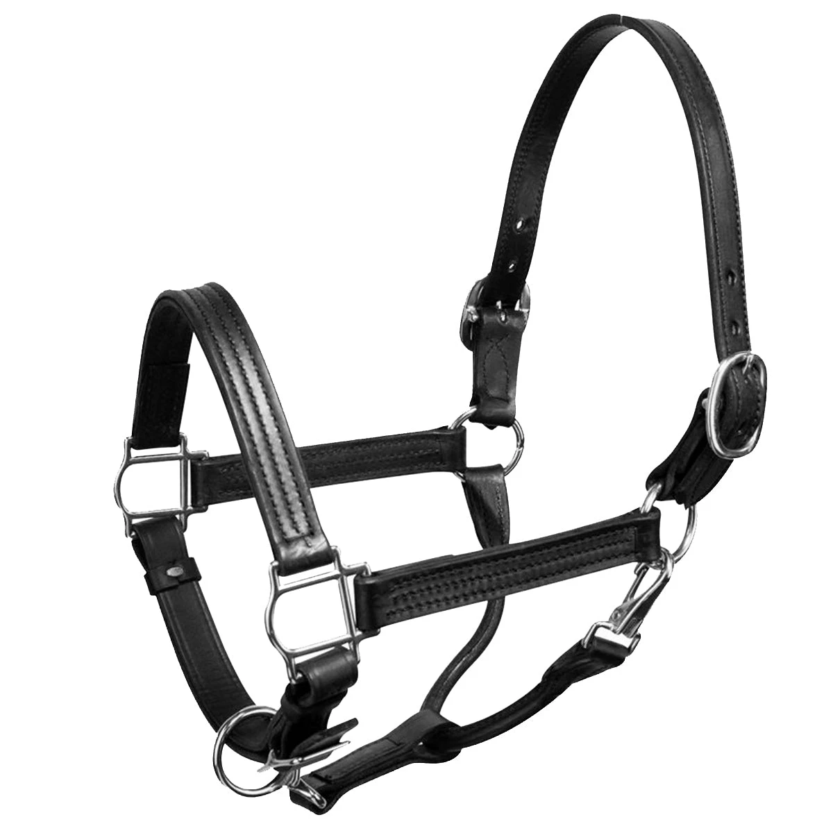 Perri's 1" Leather Show Halter 2 Perri's 1" Leather Show Halter - Image 2
