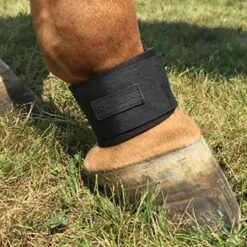 Equifit Neoprene Pastern Band Velcro Closure -Weatherbeeta Store boot2 35441.1589905996.1280.1280