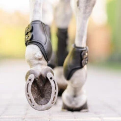 EquiFit Eq-Teq Hind Boot -Weatherbeeta Store boots2 27406adf dcf7 4644 b134 b0e8f1c65bf4