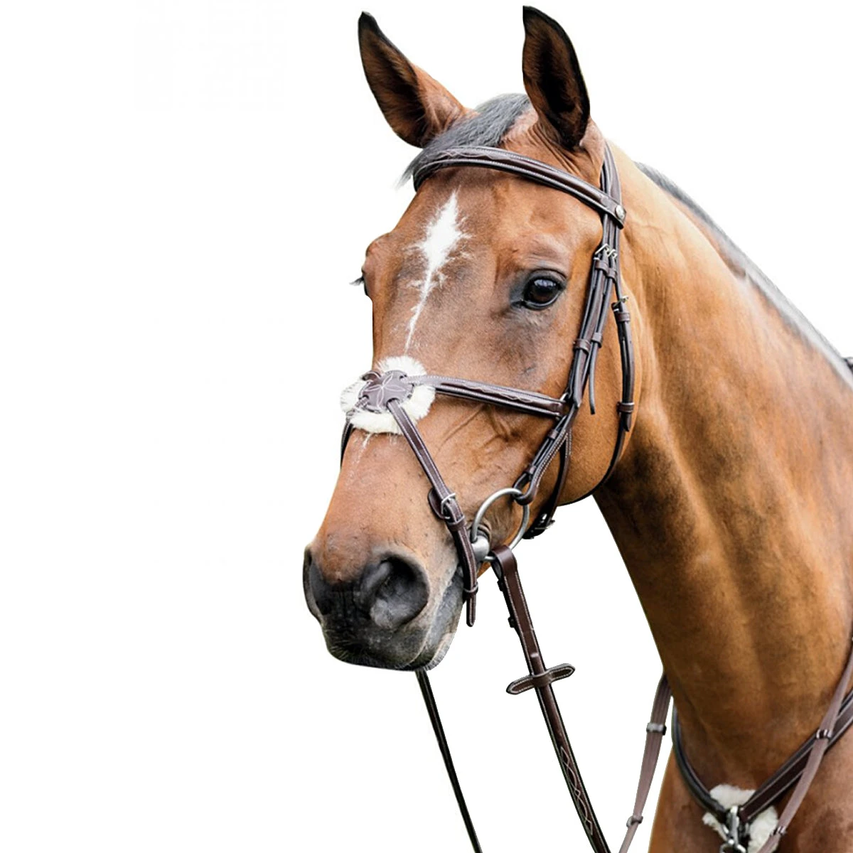 Prestige 3E080 Leather Bridle With Figure 8 Noseband 1 Prestige 3E080 Leather Bridle With Figure 8 Noseband